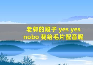 老郭的段子 yes yes nobo 我给毛片配音呢